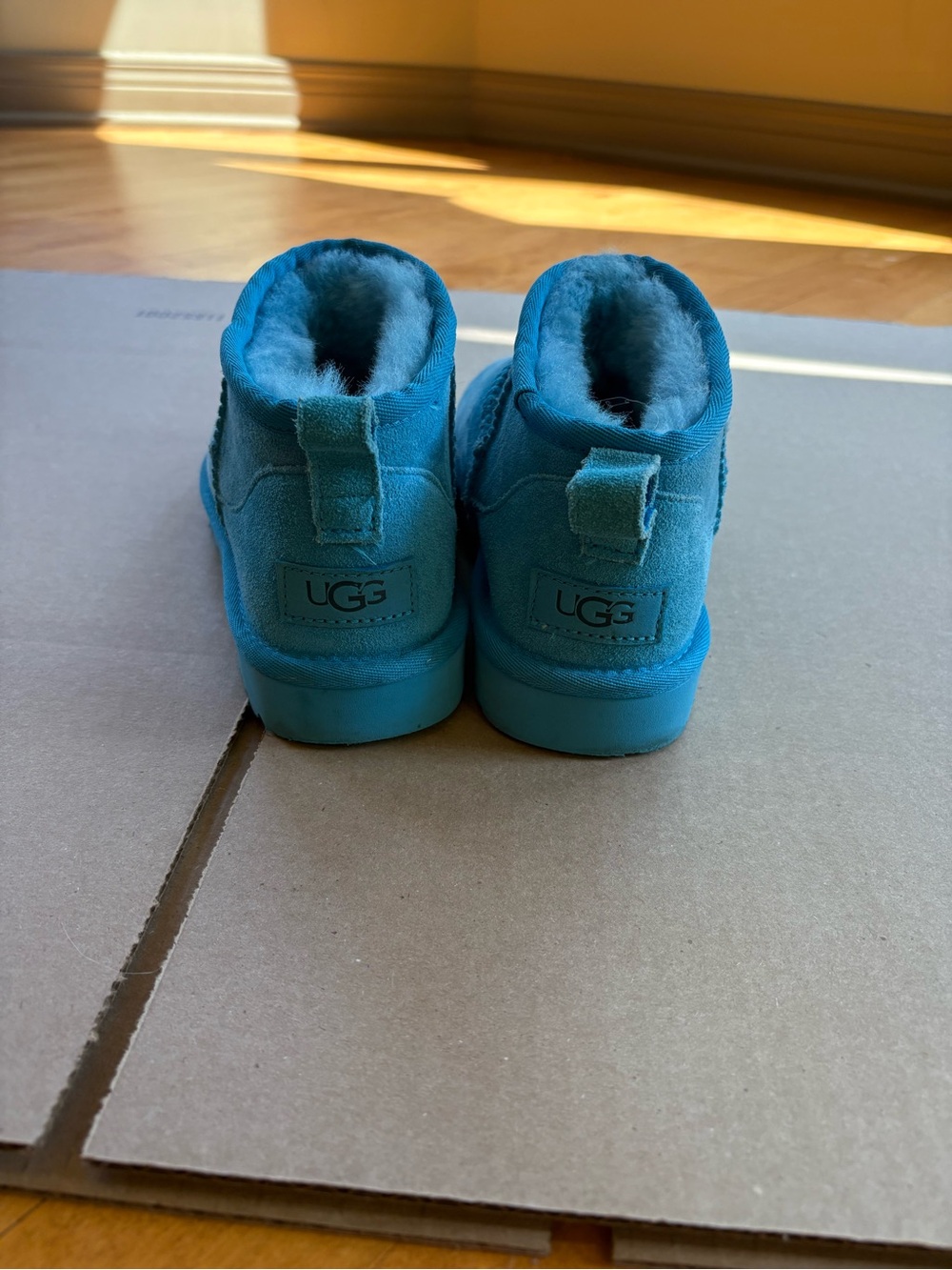 UGG Women’s Teal Suede Shearling Boot